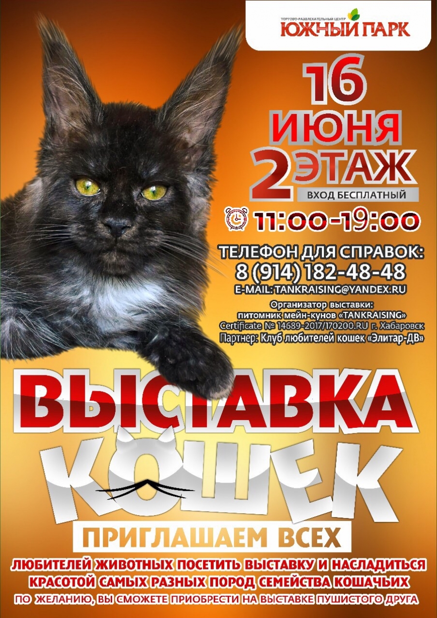 Выставка кошек в ТРЦ 